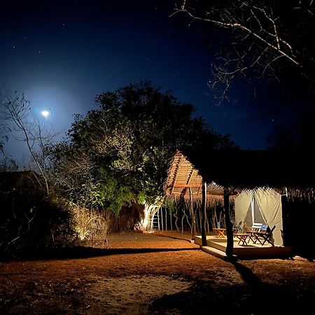 Ranakeliya Lodge - Yala Exteriör bild