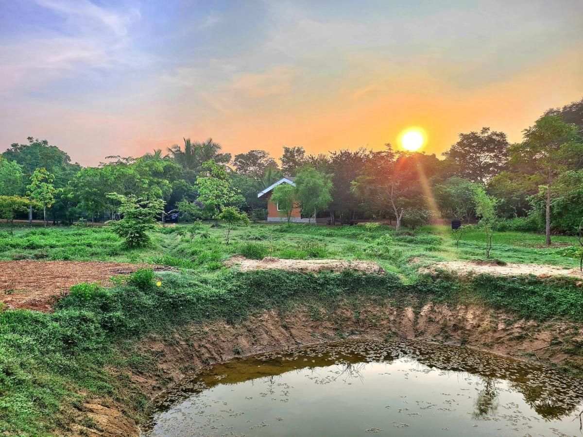 Ranakeliya Lodge - Yala Exteriör bild
