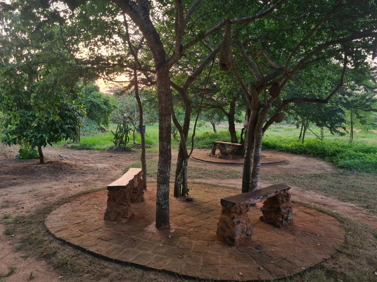 Ranakeliya Lodge - Yala Exteriör bild