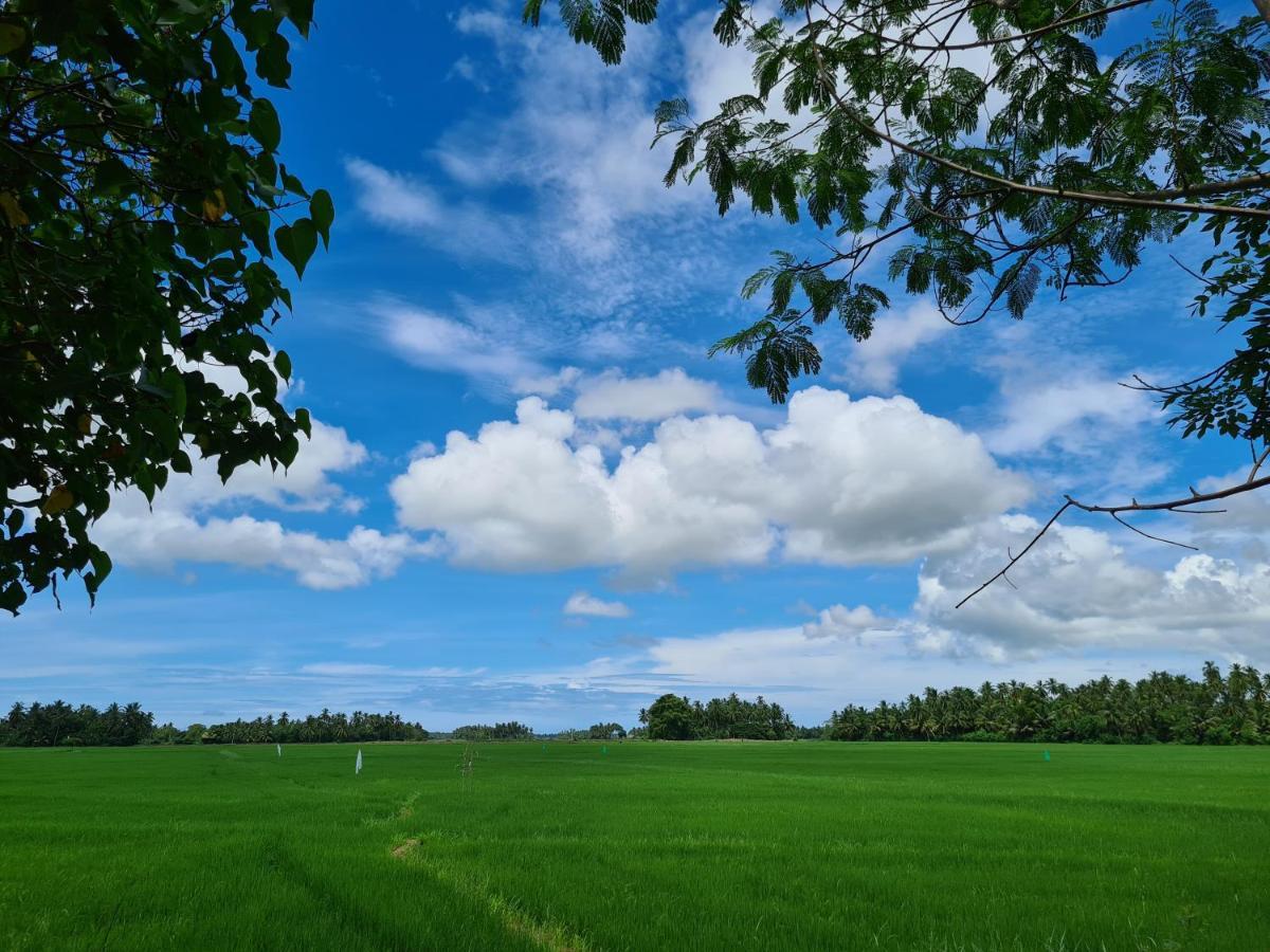 Ranakeliya Lodge - Yala Exteriör bild