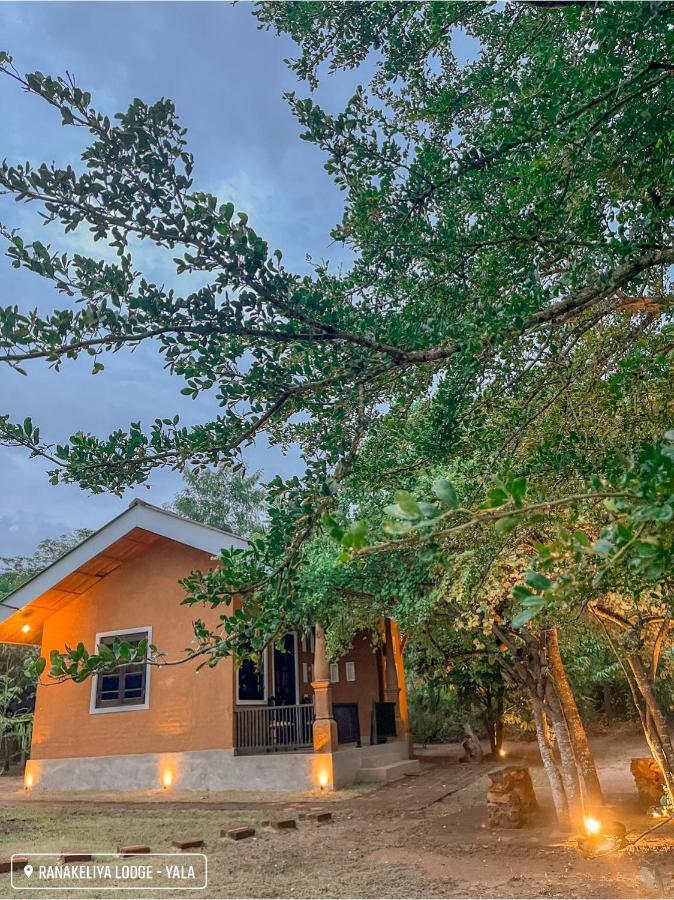 Ranakeliya Lodge - Yala Exteriör bild
