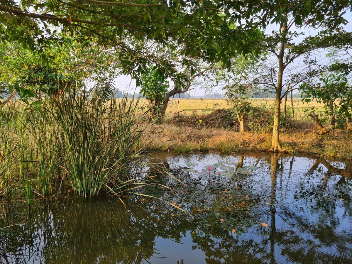 Ranakeliya Lodge - Yala Exteriör bild